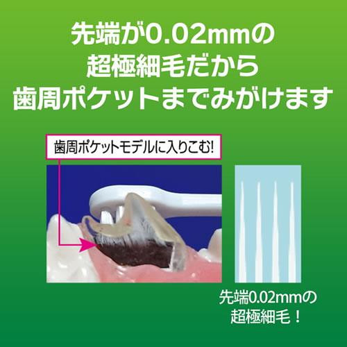 ライオン ペットキッス デンタルブラシ コンパクト 1本 犬猫用 超小型