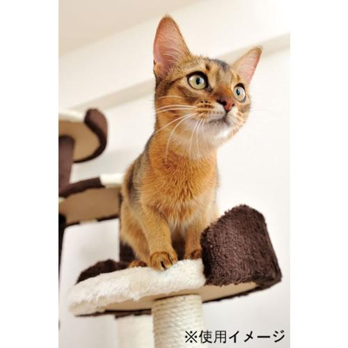 ペティオ アドメイト 猫のおあそびポール お魚ファミリー ハイタイプ