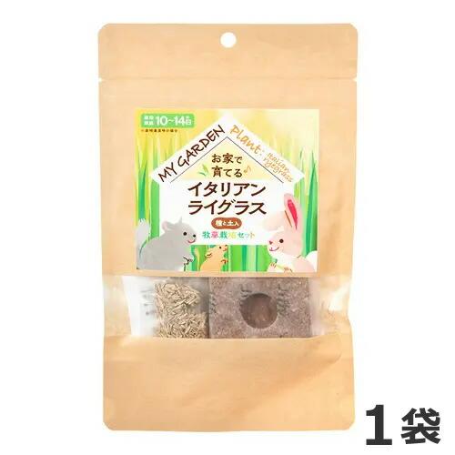 イースター マイガーデン 牧草栽培セット イタリアンライグラス 1袋