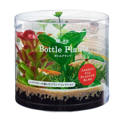 ADA フォレストボトル 水草水槽専用7本セット GEX 癒し水景 ボトルプランツ アヌビアス水草 レイアウト アクセサリ