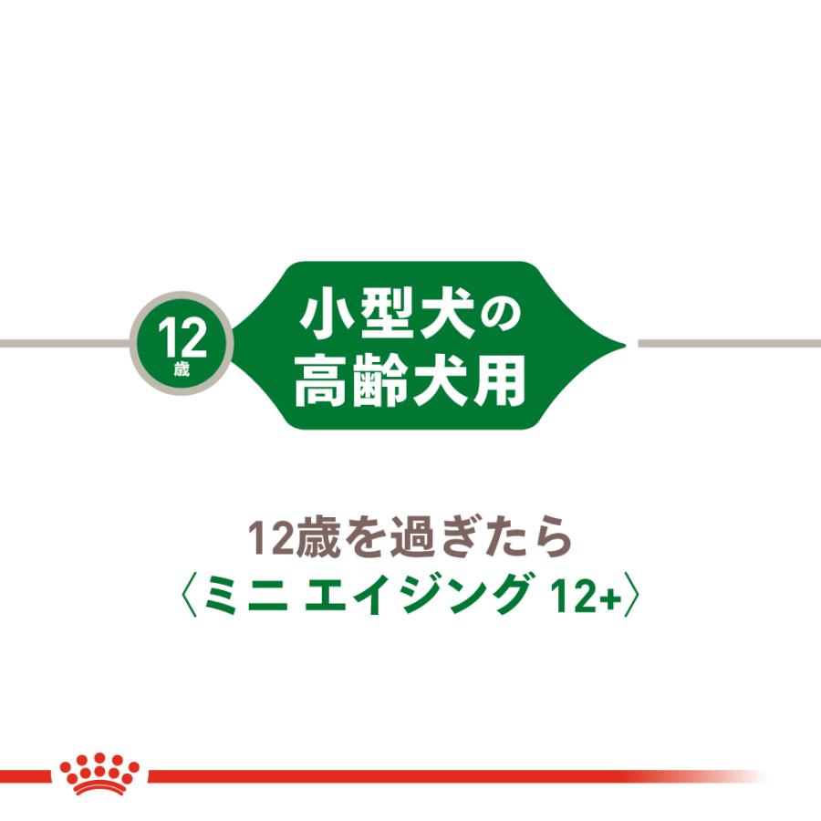 ロイヤルカナン ミニ エイジング 12+ 小型犬の高齢犬用 12歳以上 85g×12個入 ドックフード ウエット パウチ ボール販売｜petsmum2｜03