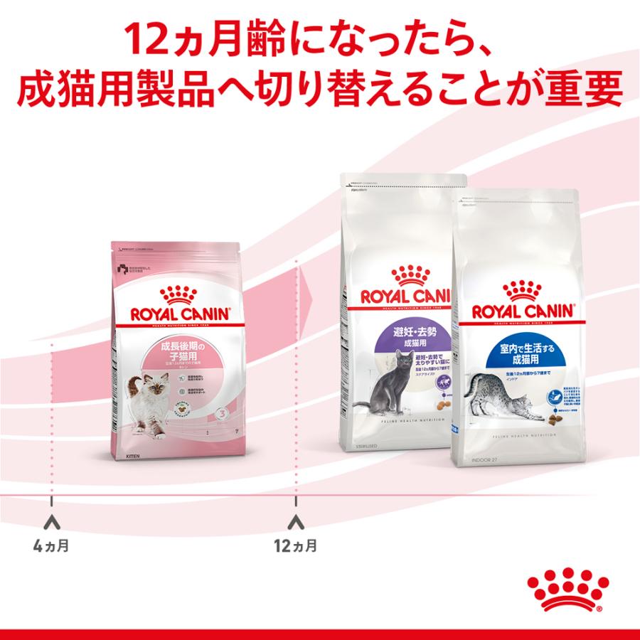 6個セット ロイヤルカナン キトン（成長後期の子猫専用フード）2kg×6個セット｜petsmum｜05