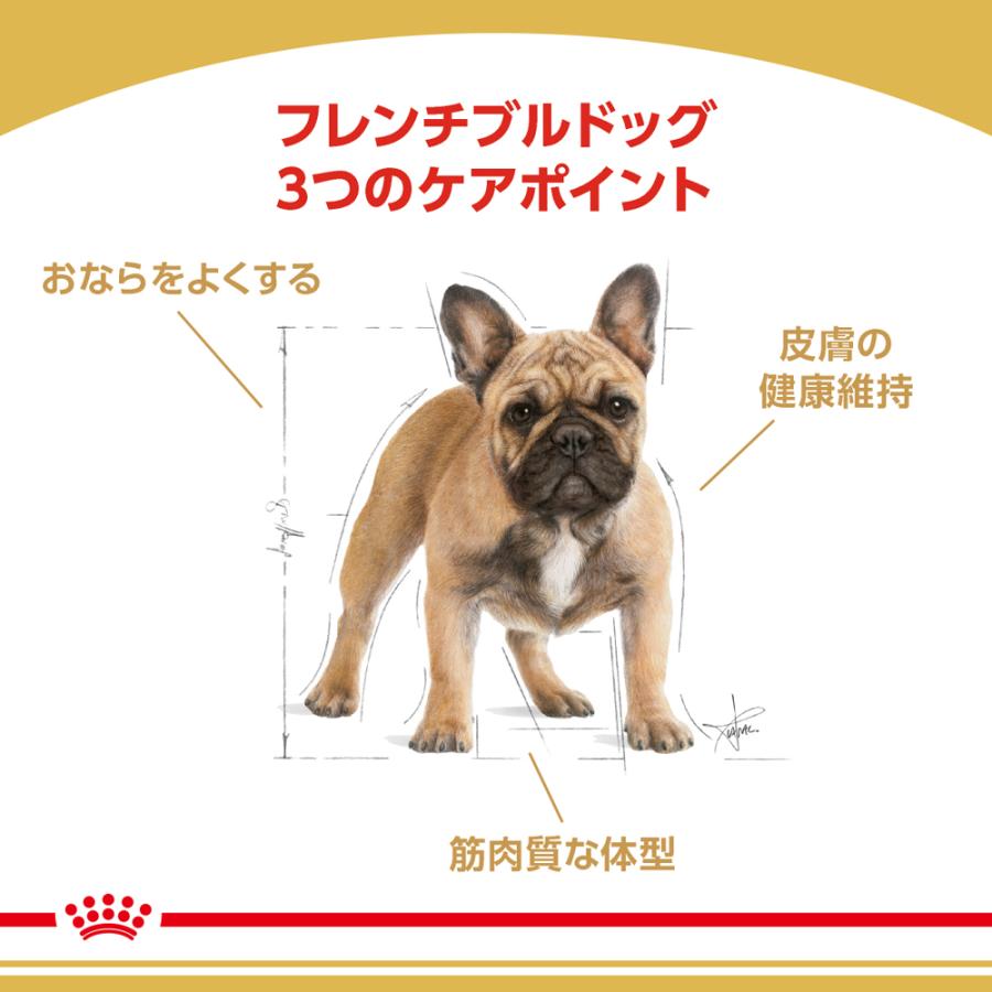4個セット ロイヤルカナン フレンチブルドッグ 成犬〜高齢犬用 生後12ヶ月齢以上 3kg×4個セット｜petsmum｜02