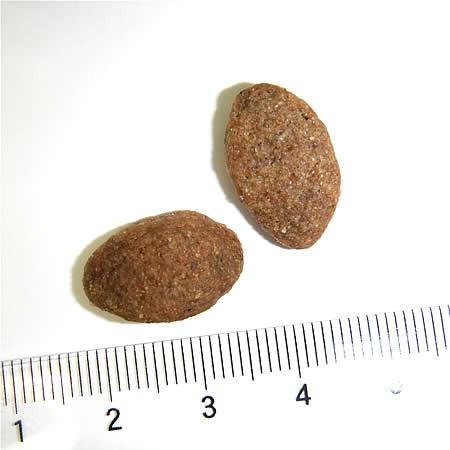 ニュートロ シュプレモ 成犬用 全犬種 中型~大型犬用【１６.５kg】 ニュートロ シュプレモ 成犬用