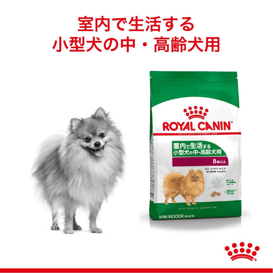 ロイヤルカナン ミニ インドア シニア 2kg（室内で生活する小型犬専用フード 中・高齢犬用）｜petsmum｜02