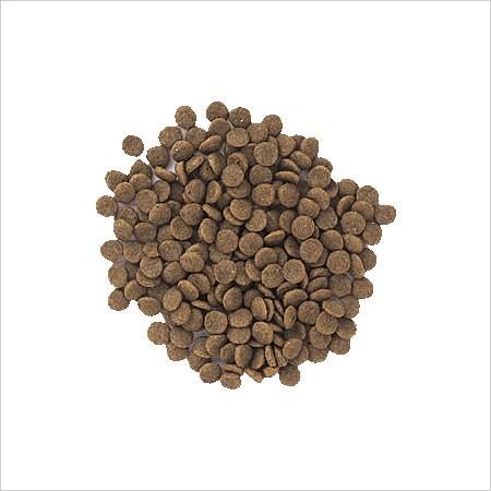 森乳サンワールド スーパーゴールド フィッシュ&ポテト シニアライト