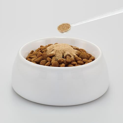 【メール便】DHC 猫用 国産 オーラルケア 50g 猫用サプリメント 猫用健康補助食品 送料無料|petsmum|02