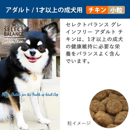ベッツ・チョイス セレクトバランス グレインフリー アダルト 1才以上