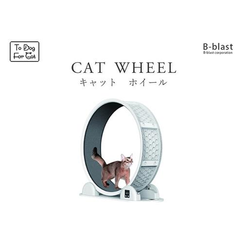 ○B-blast キャットホイール ビーブラスト 猫用品 おもちゃ 運動 爪