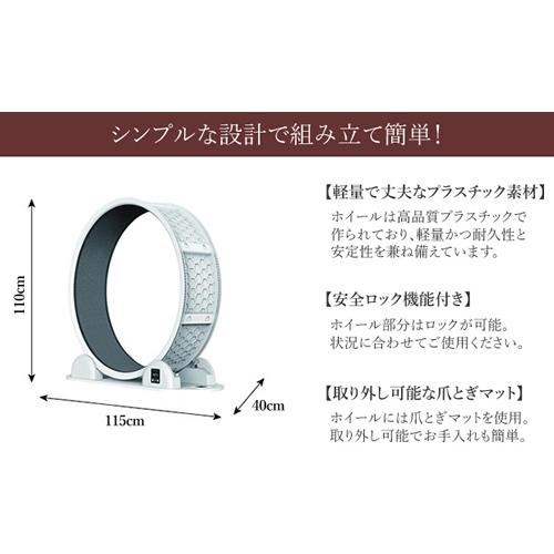 キャットホイール　美品 ○B-blast キャットホイール ビーブラスト 猫用品 おもちゃ 運動 爪