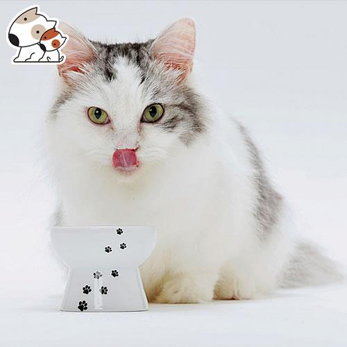 猫壱 ハッピーダイニング おやつ皿 猫柄 猫用食器 : ペッツマム - 通販