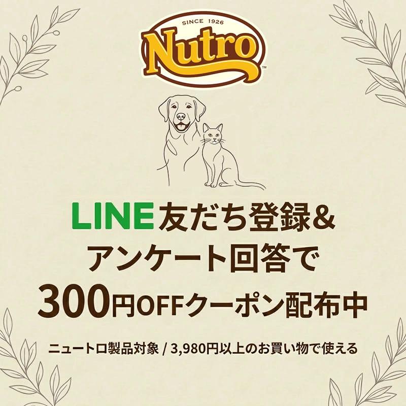 ニュートロ シュプレモ 子犬用 ミニパウチ 全犬種用 35g×12個マルチ