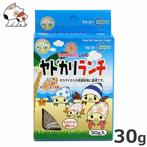 オカヤドカリ飼育セット　レグラス CUBE 300-B 他飼育用品 オカヤドカリ飼育セット レグラス CUBE 300-B 他飼育用品 マルカン