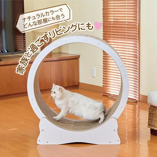 ボンビアルコン キャットホイール ホワイト80 7kgまで 猫用 組み立て