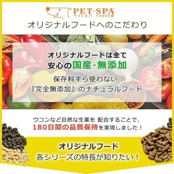 ドッグフード アレルギー対応 ラム肉 国産 無添加 こだわり食材 ホームメイド ドッグフード ラム ライス 900g 小型犬 中型犬 大型犬 Pet Spa 通販 Paypayモール