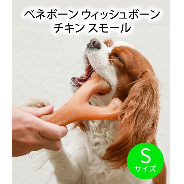 ベネボーン ウィッシュボーン チキン スモール 犬用おもちゃ 頑丈 Pet Spa Paypayモール店 通販 Paypayモール