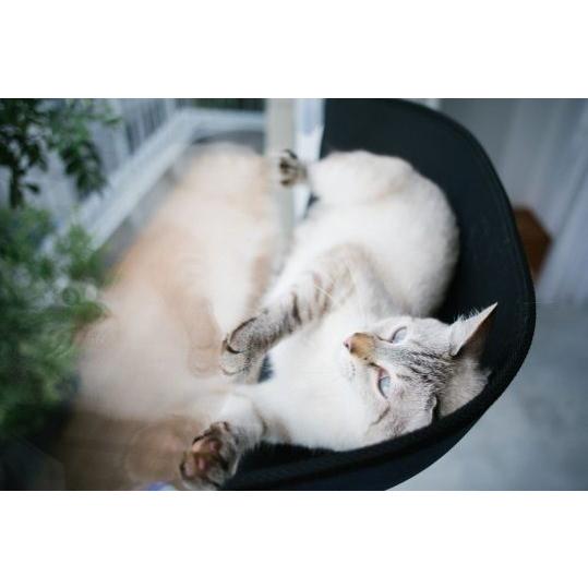 オンラインショップ 猫用 ベッド 窓 Kamp H Ez ウィンドウベッド Window Mount Bed グレー