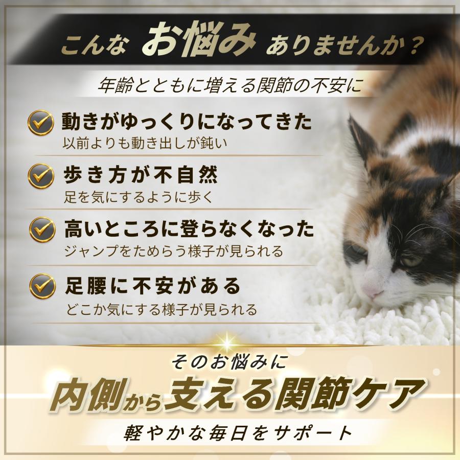 猫 サプリ 関節 足腰 ケア 健康 シニア 高齢猫 国産 グルコサミン コンドロイチン MSM ペッツプラス プレミアムアクティブ 猫用 サプリメント | Pets+ | 01