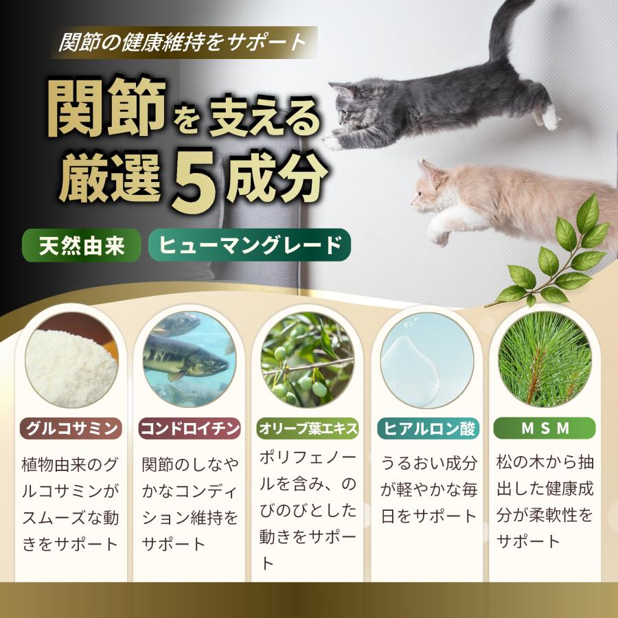 Pets+（ペッツプラス） 猫 サプリ 関節 足腰 ケア 健康 シニア 高齢猫