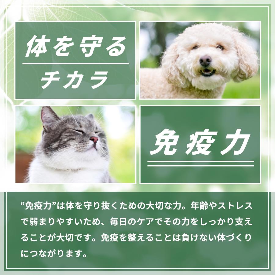 猫 サプリ 免疫力 皮膚 元気 ケア 健康維持 シニア 高齢猫 国産 プロポリス アガリクス ペッツプラス プレミアムアルファ 猫用 免疫 サプリメント | Pets+ | 06