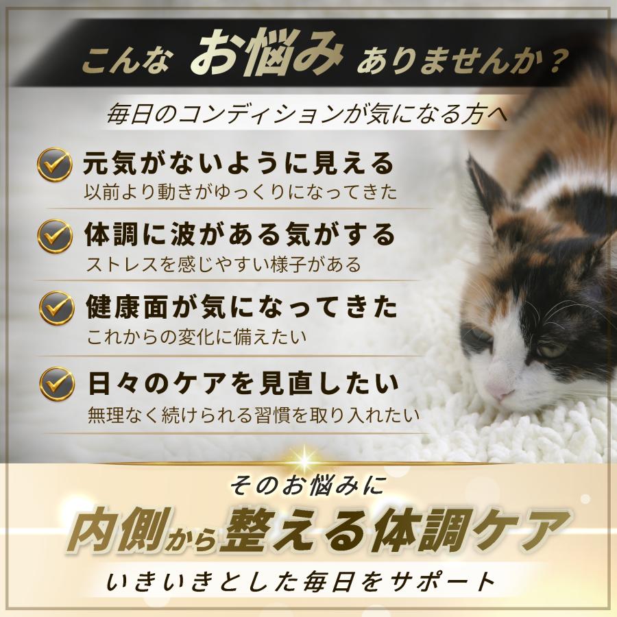 Pets+（ペッツプラス） 猫 サプリ QOL 免疫力 ケア 健康維持 シニア