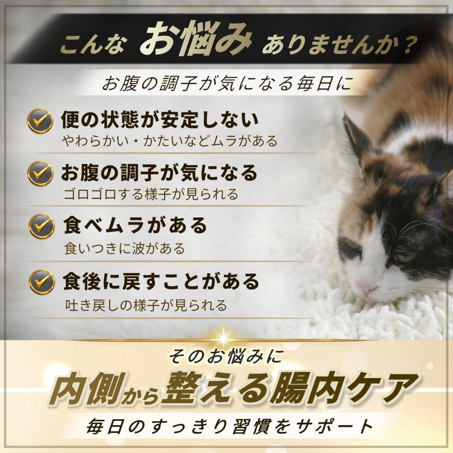 猫 サプリ 腸内環境 胃腸 消化 ケア シニア 高齢猫 国産 乳酸菌 植物発酵エキス 酵素 ペッツプラス プレミアムストマック 猫用 サプリメント | Pets+ | 01