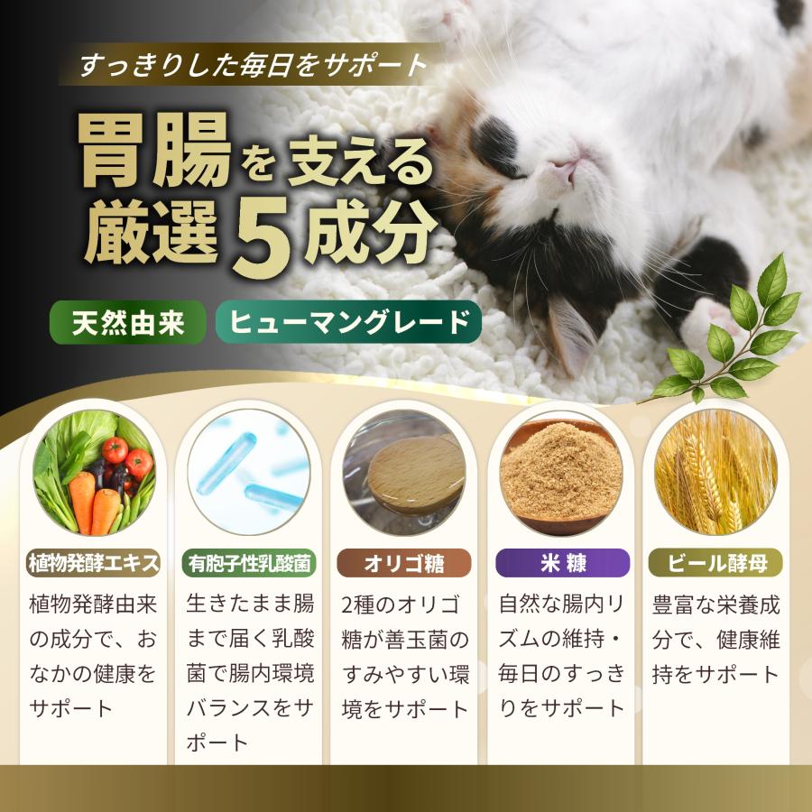 猫 サプリ 腸内環境 胃腸 消化 ケア シニア 高齢猫 国産 乳酸菌 植物発酵エキス 酵素 ペッツプラス プレミアムストマック 猫用 サプリメント | Pets+ | 03