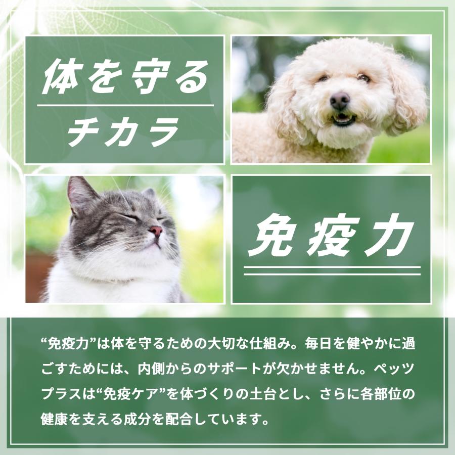 猫 サプリ 腸内環境 胃腸 消化 ケア シニア 高齢猫 国産 乳酸菌 植物発酵エキス 酵素 ペッツプラス プレミアムストマック 猫用 サプリメント | Pets+ | 05