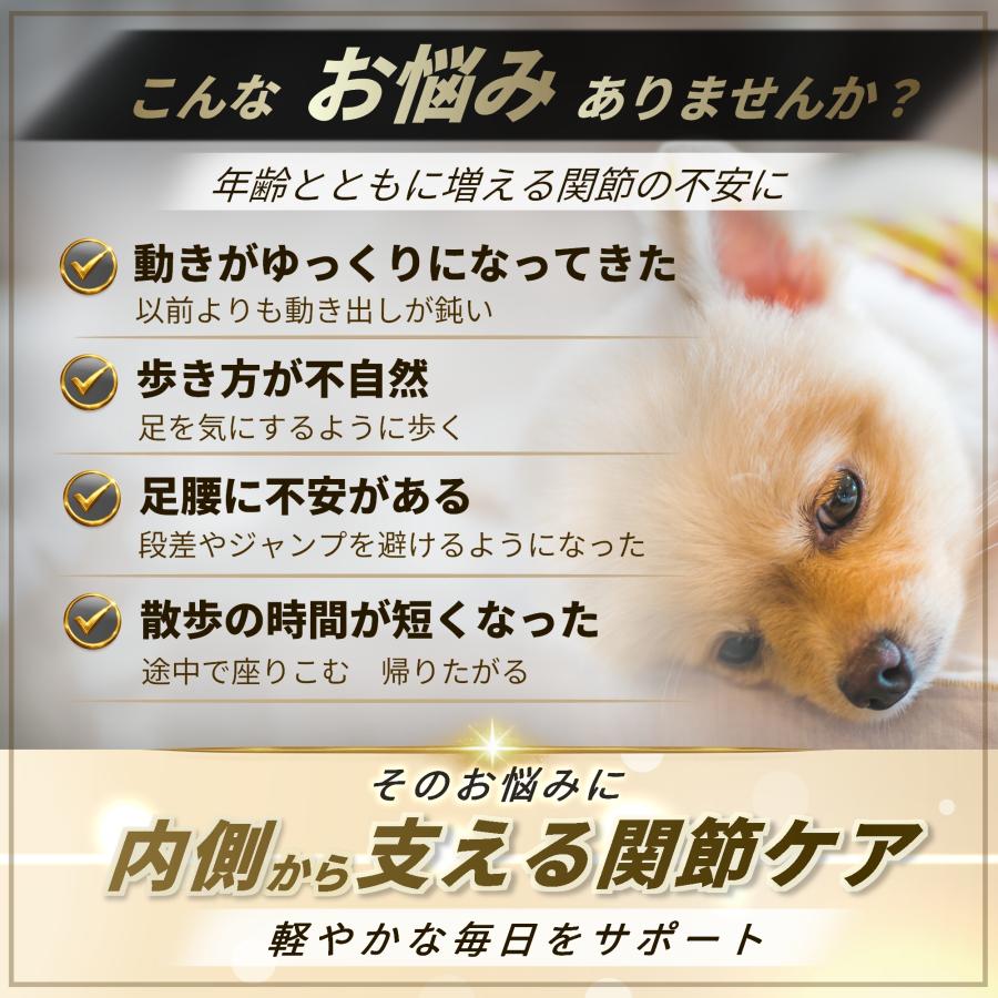 Pets+（ペッツプラス） 犬 サプリ 関節 足腰 ケア 健康 シニア 高齢犬