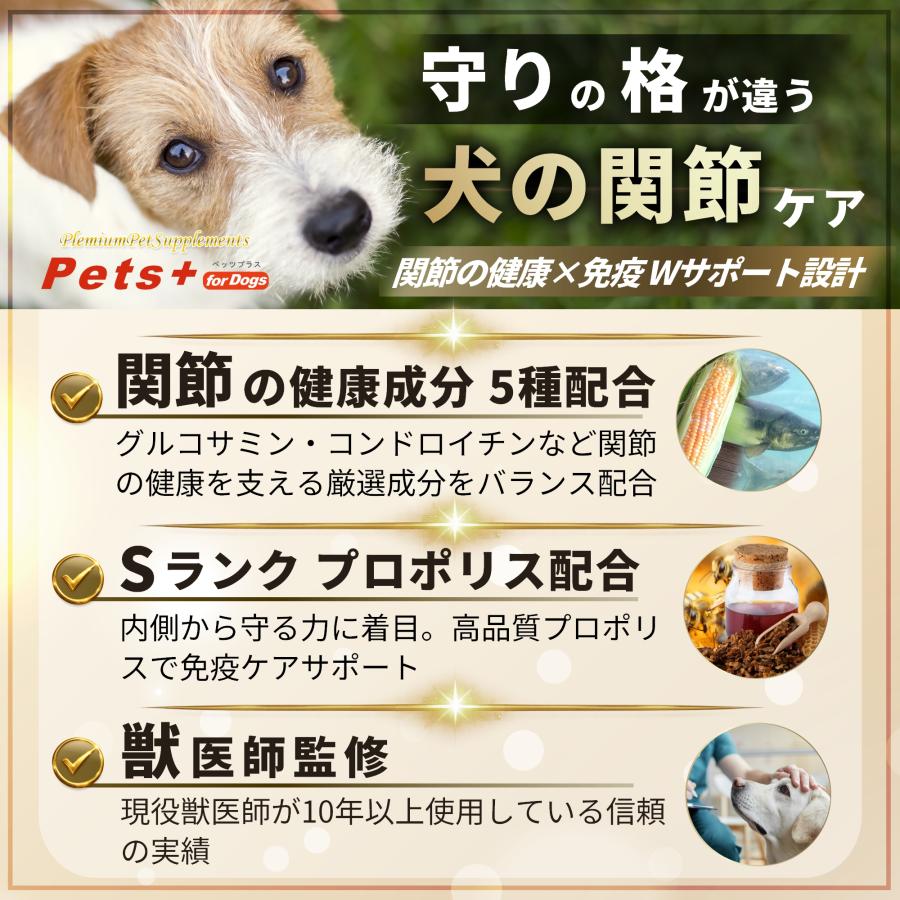 犬 関節 サプリ 足腰 シニア犬 国産 無添加 グルコサミン コンドロイチン MSM プロポリス 散歩 健康維持 ペッツプラス プレミアムアクティブ 犬用 サプリメント | Pets+ | 02