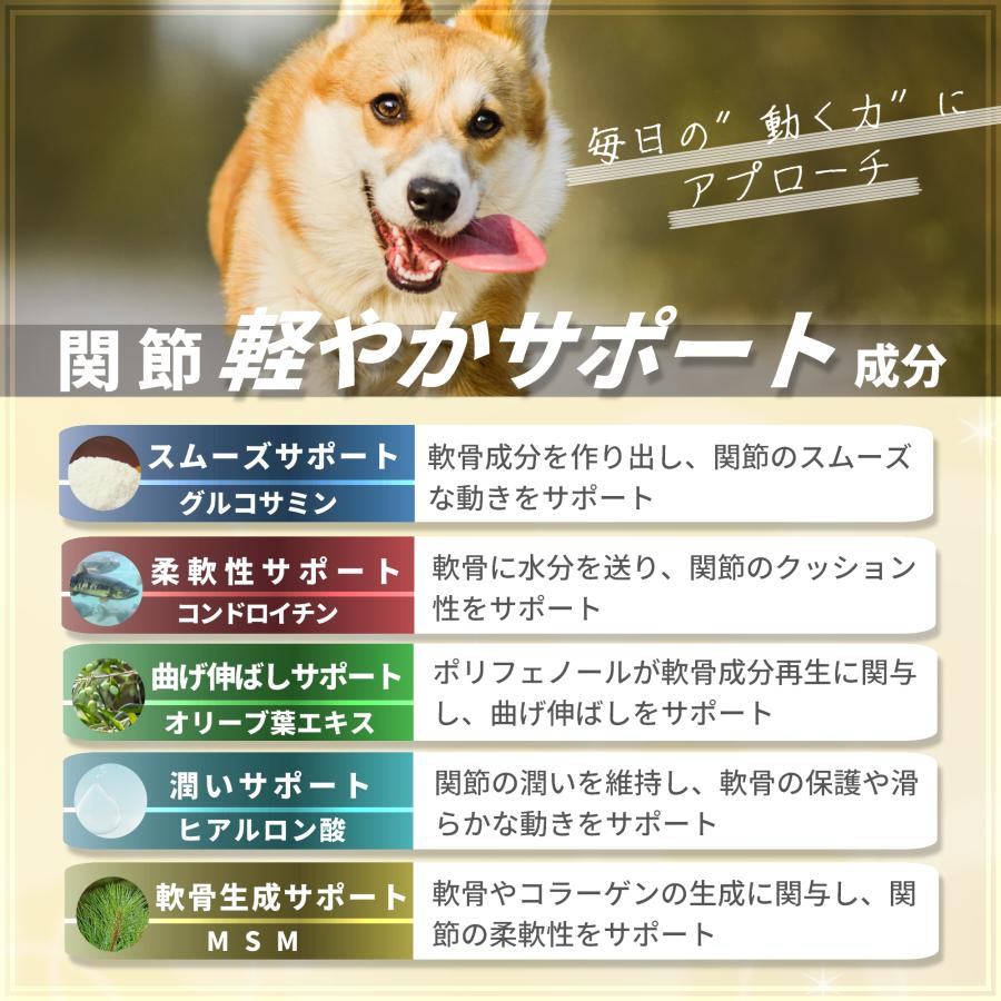 最終値下げしました。関節 腰 骨ペッツプラス 犬 プレミアムアクティブ