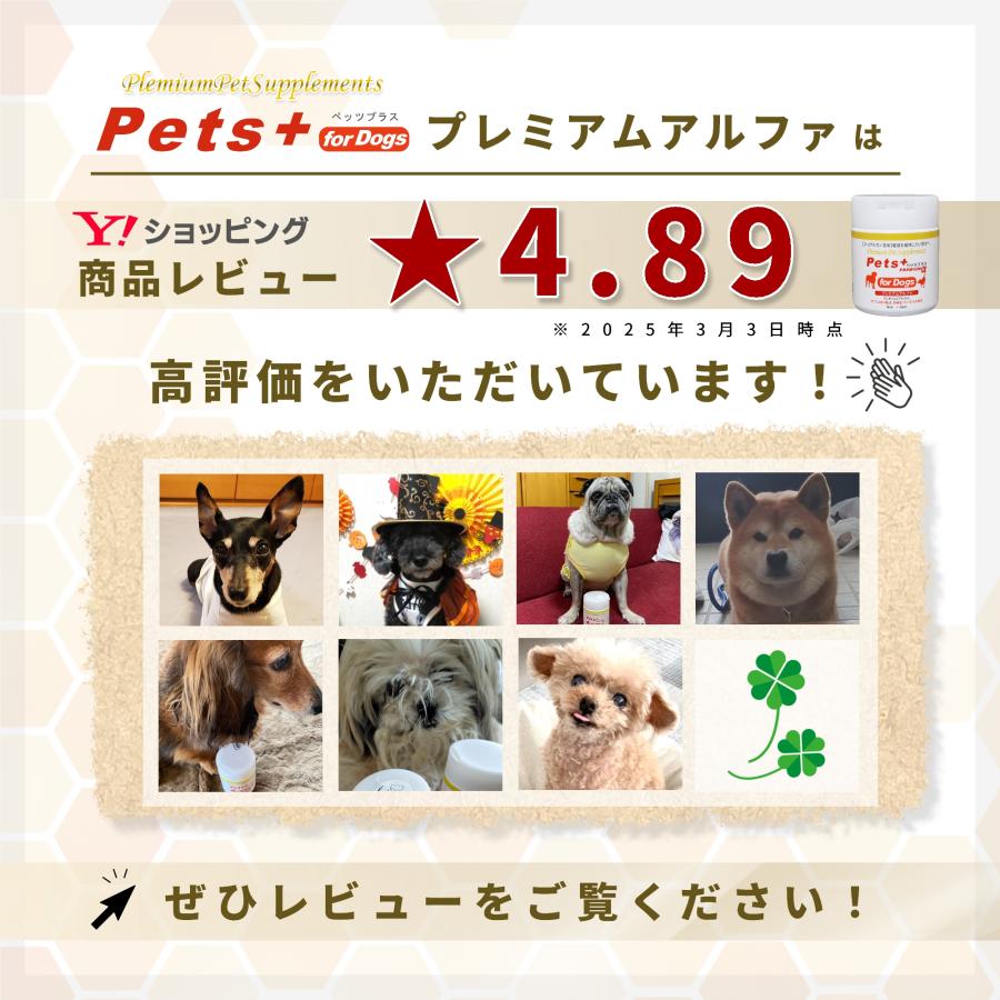Pets+（ペッツプラス） 犬 サプリ 免疫力 皮膚 元気 ケア 健康維持