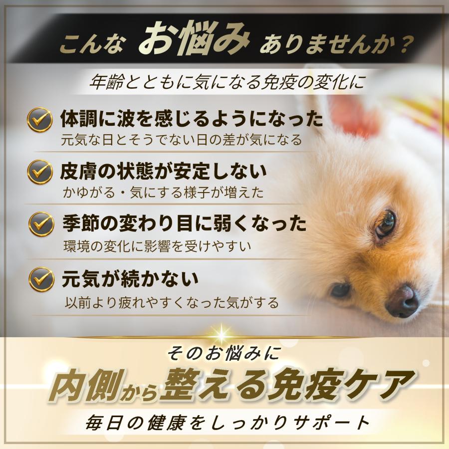 Pets+（ペッツプラス） 犬 サプリ 免疫力 皮膚 元気 ケア 健康維持