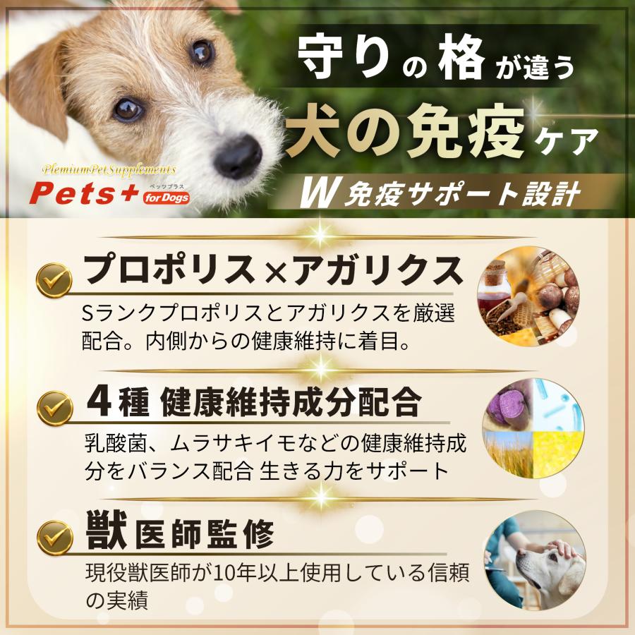 Pets+（ペッツプラス） 犬 免疫力 サプリ 元気 健康維持 皮膚ケア