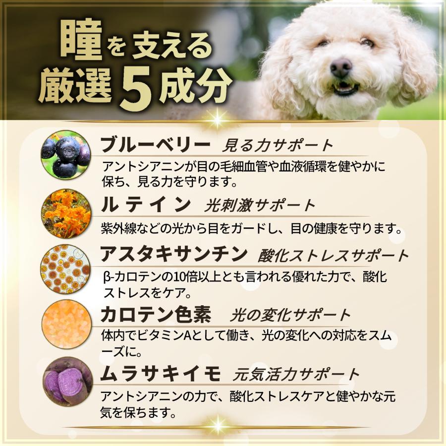 犬 目 サプリ アイケア 瞳 健康維持 シニア犬 国産 無添加 ブルーベリー ルテイン アントシアニン プロポリス ペッツプラス プレミアムアイ 犬用 サプリメント | Pets+ | 03