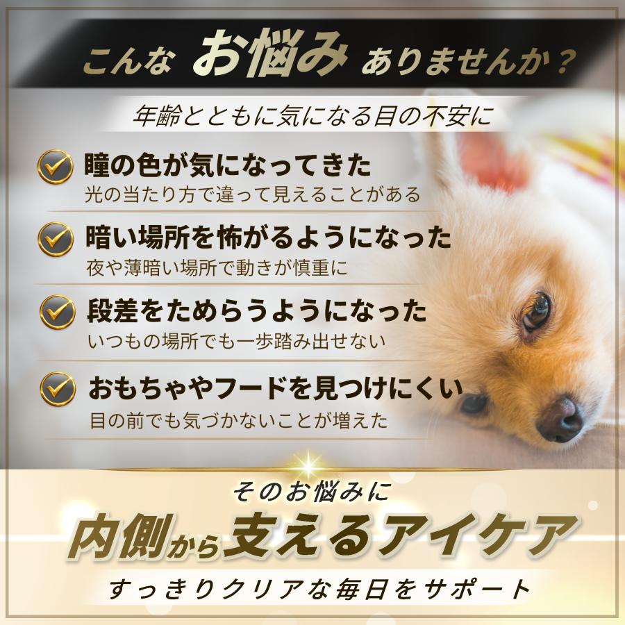 Pets+（ペッツプラス） 犬 目 サプリ 主成分5倍 アイケア 瞳 健康維持