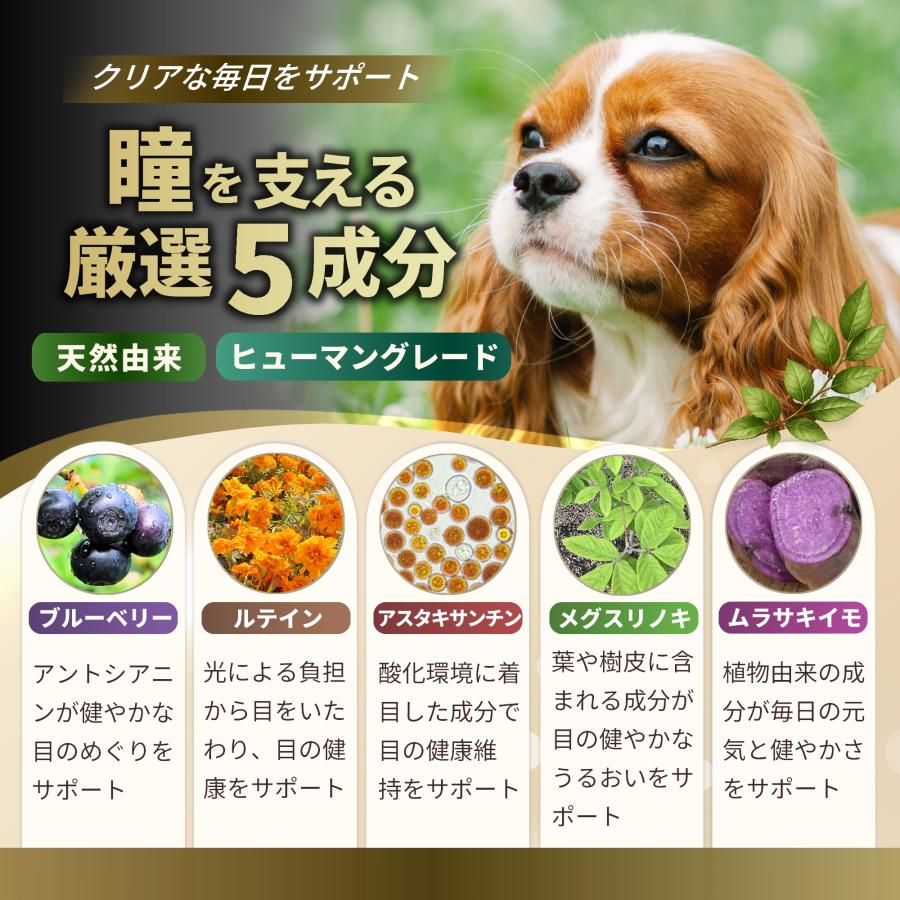 スキンケアECプラス 犬用サプリメント 2袋セット