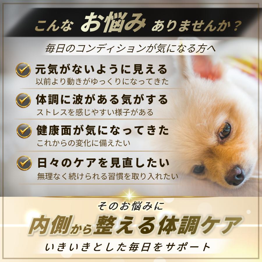 Personal Care PI+ 犬用サプリメント 4パック Pets+（ペッツプラス） 犬 サプリ QOL 免疫力 ケア 健康維持 シニア