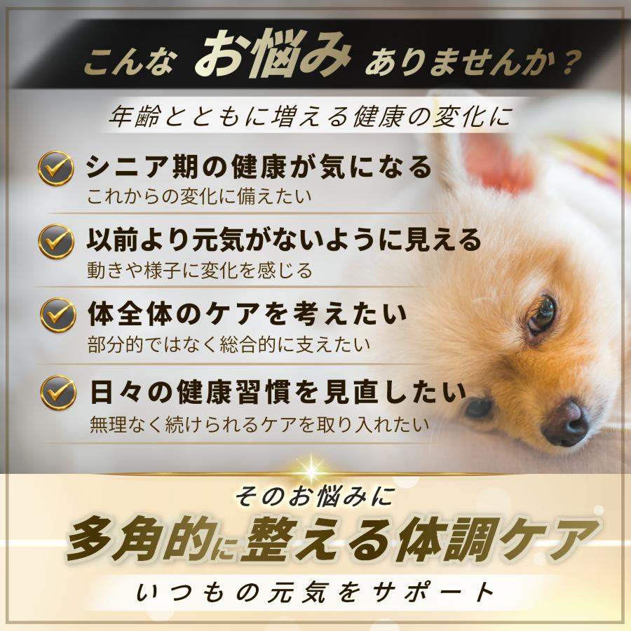Pets+（ペッツプラス） 犬 サプリ オールインワン 免疫 目 脳 関節