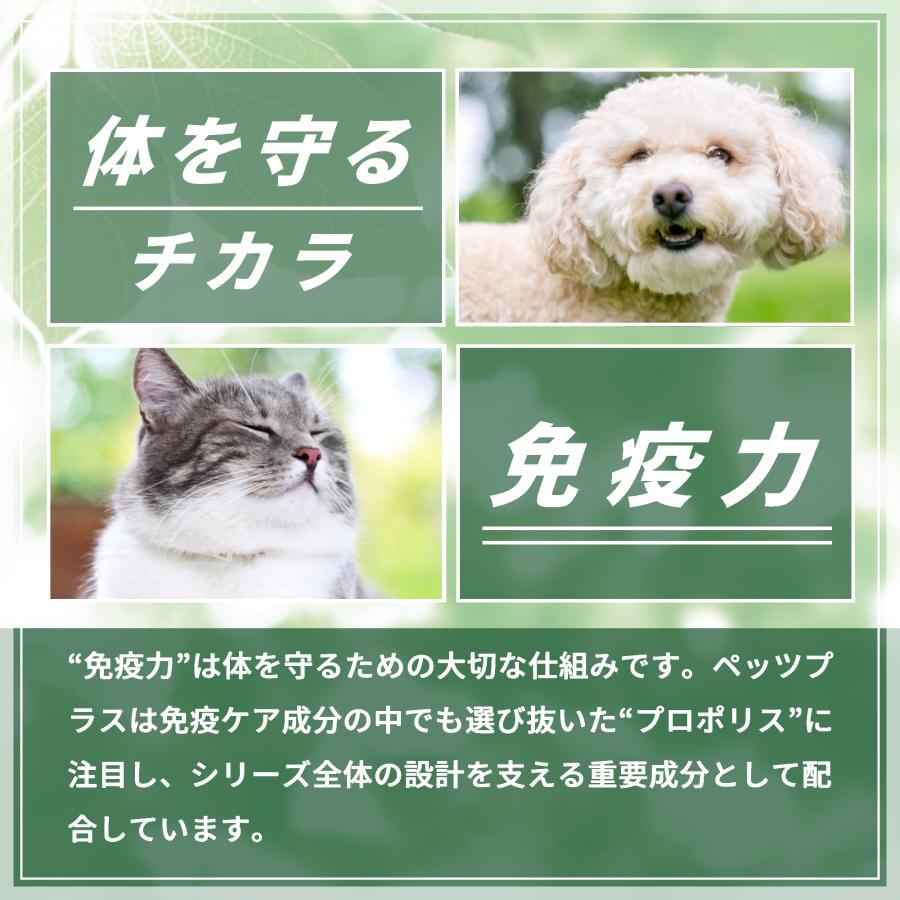 犬 サプリ オールインワン シニア犬 健康維持 免疫力 目 脳 関節 胃腸 ケア 国産 無添加 プロポリス ペッツプラス プレミアムセブン 犬用 サプリメント | Pets+ | 07