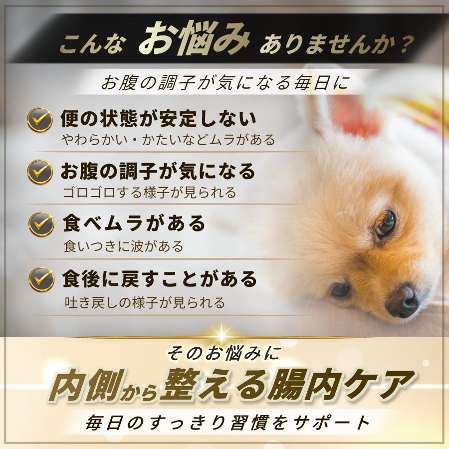 Pets+（ペッツプラス） 犬 胃腸 サプリ 腸活 腸内環境 お腹 健康維持