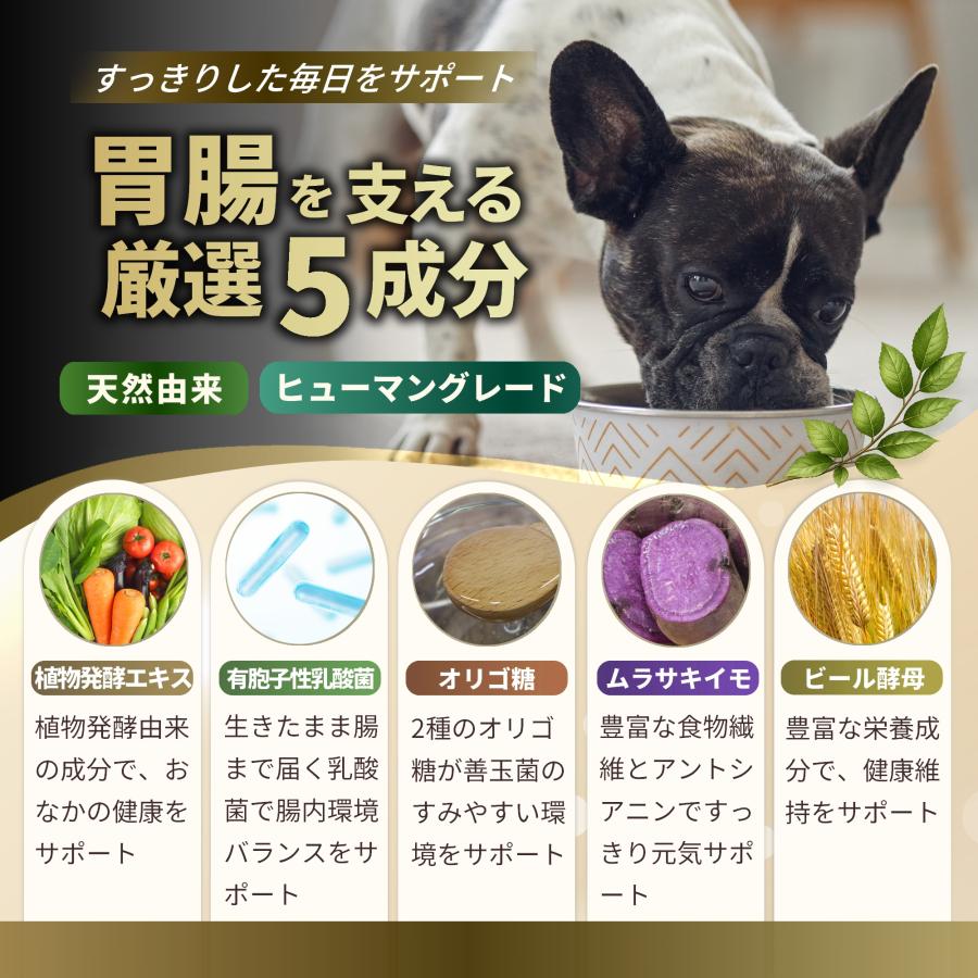 Pets+（ペッツプラス） 犬 胃腸 サプリ 腸活 腸内環境 お腹 健康維持