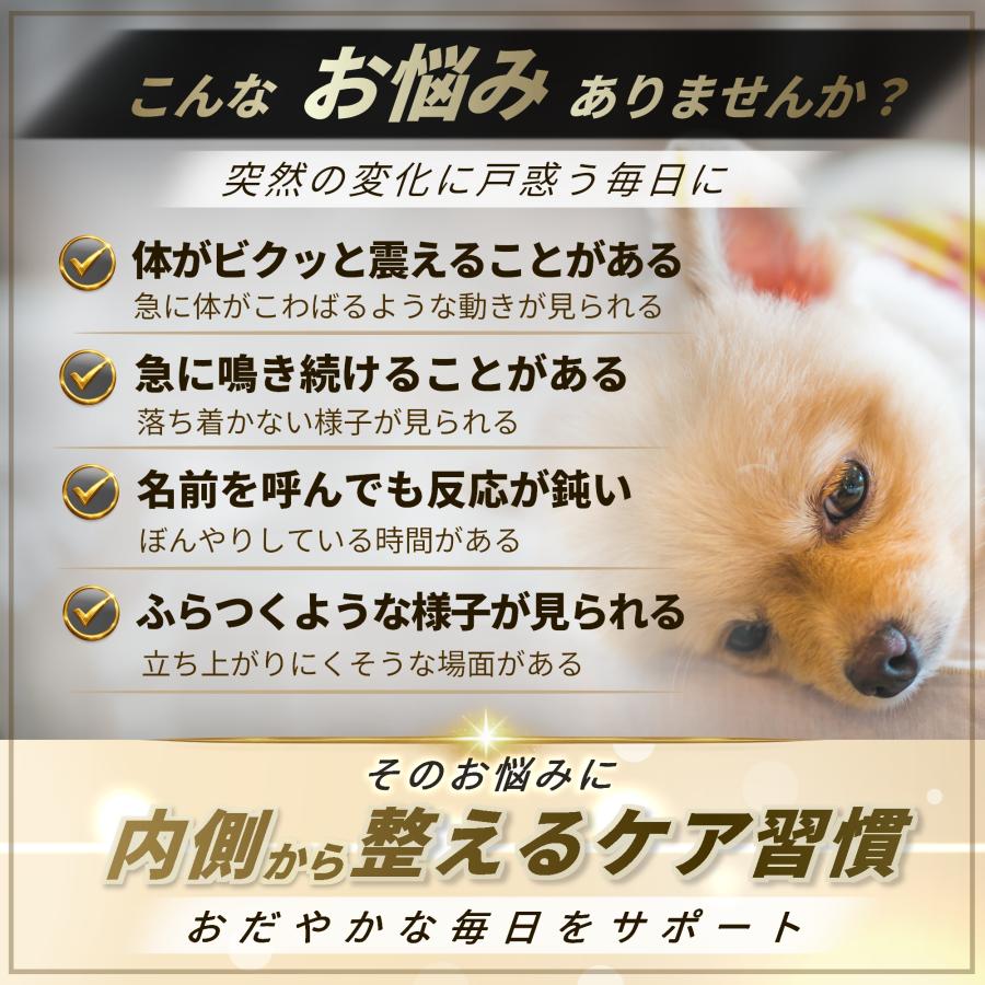 Pets+（ペッツプラス） 犬 サプリ 脳 心臓 認知機能 ケア 健康 シニア