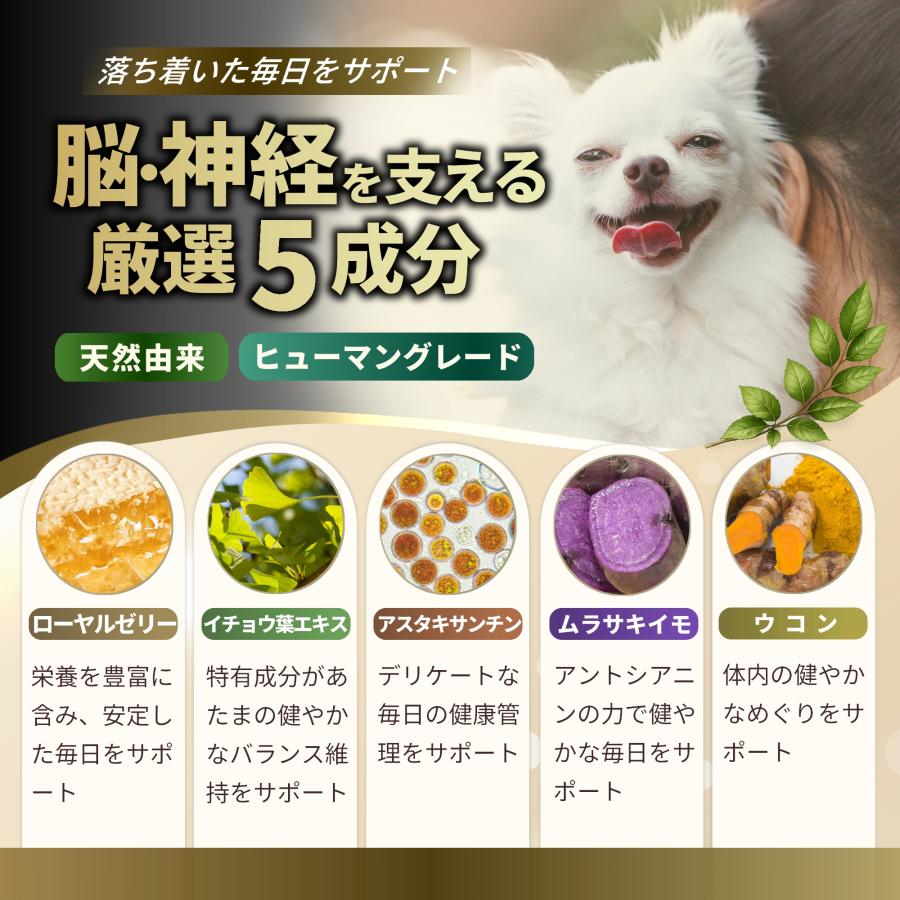 Pets+（ペッツプラス） 犬 脳 サプリ おだやか 神経 健康維持 シニア犬