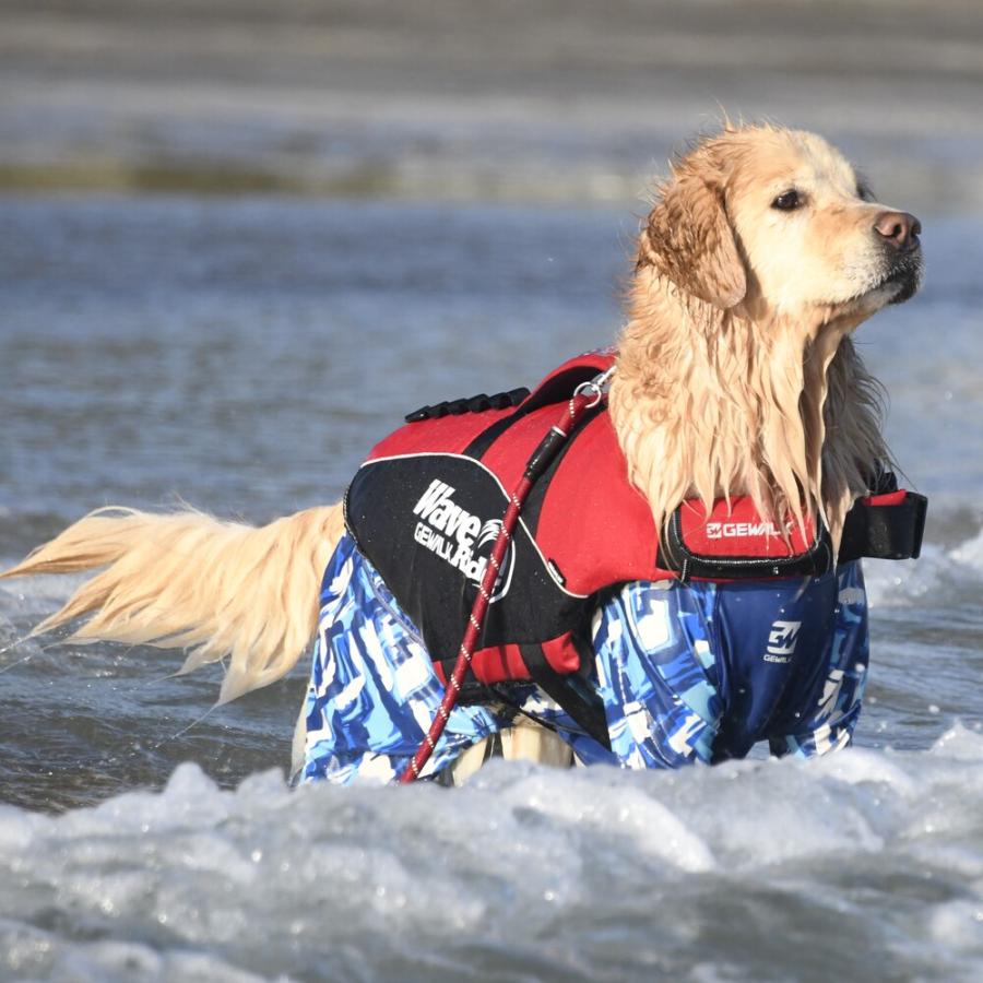 GEWALK ジウォーク】ウェーブライダー エコ ライフジャケット 犬用