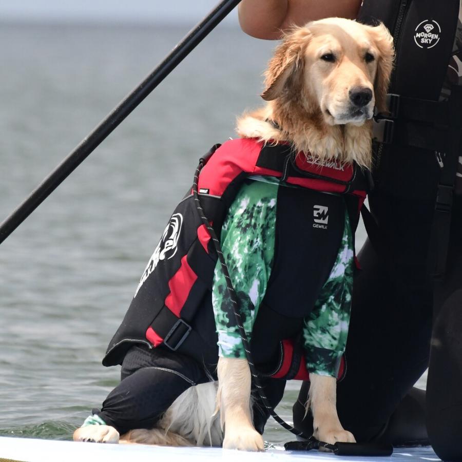 GEWALK ジウォーク】ウェーブライダー エコ ライフジャケット 犬用