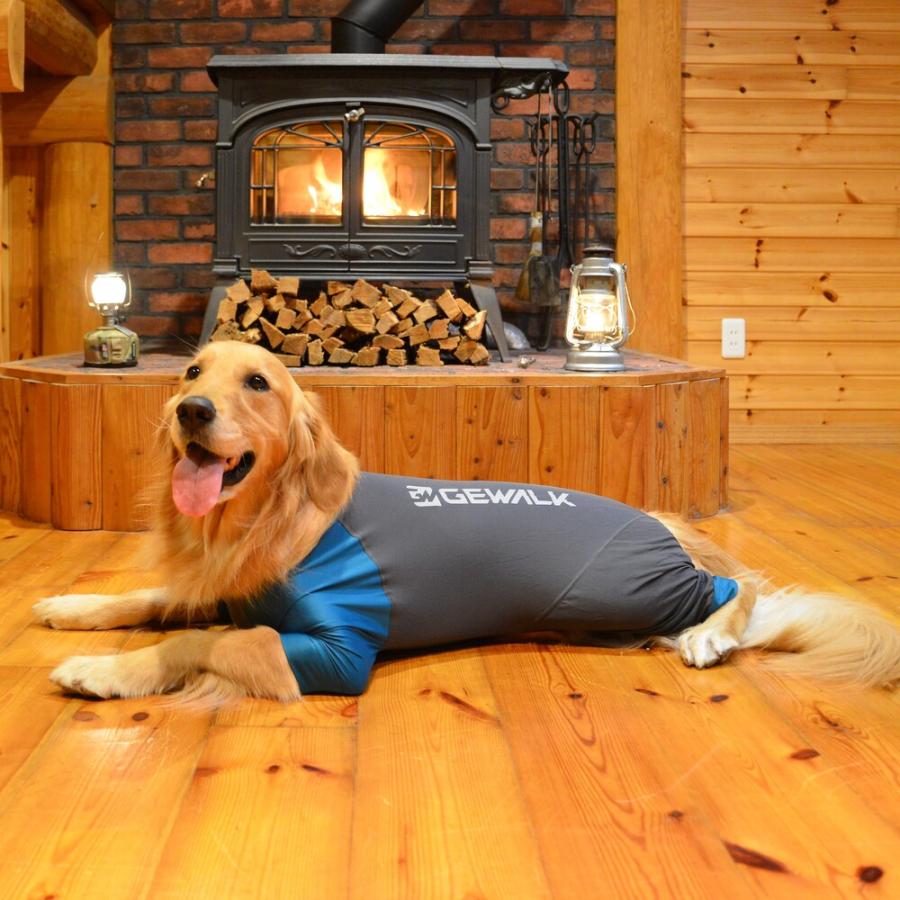 GEWALK ジウォーク光電子　ロンパースXXL犬 いぬ イヌ DOG 服 アウトドア ラッシュガード｜petsrepublic｜20