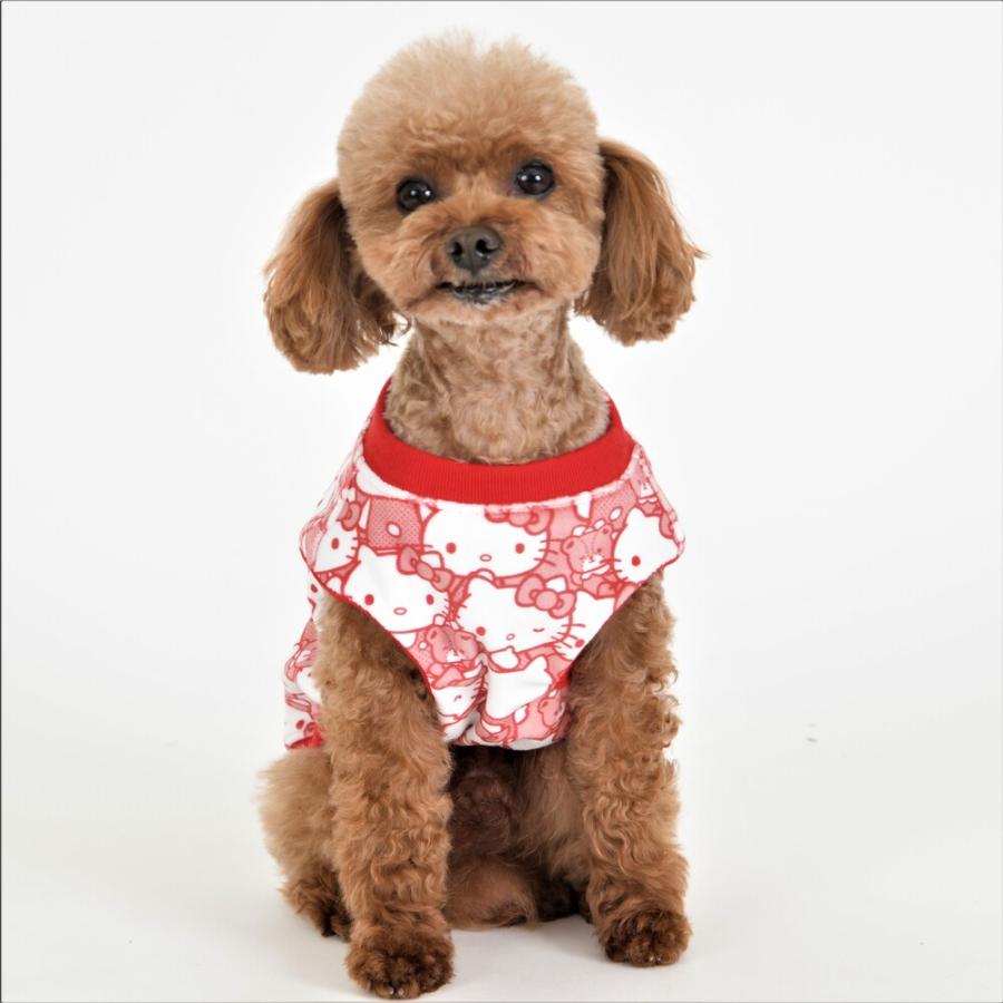 キティ HELLO KITTY 犬服 サニタリーパンツ  サイズ２  ピンク Sanrio サンリオ】 うしろうしろハローキティ【2号 3号 4号 5号