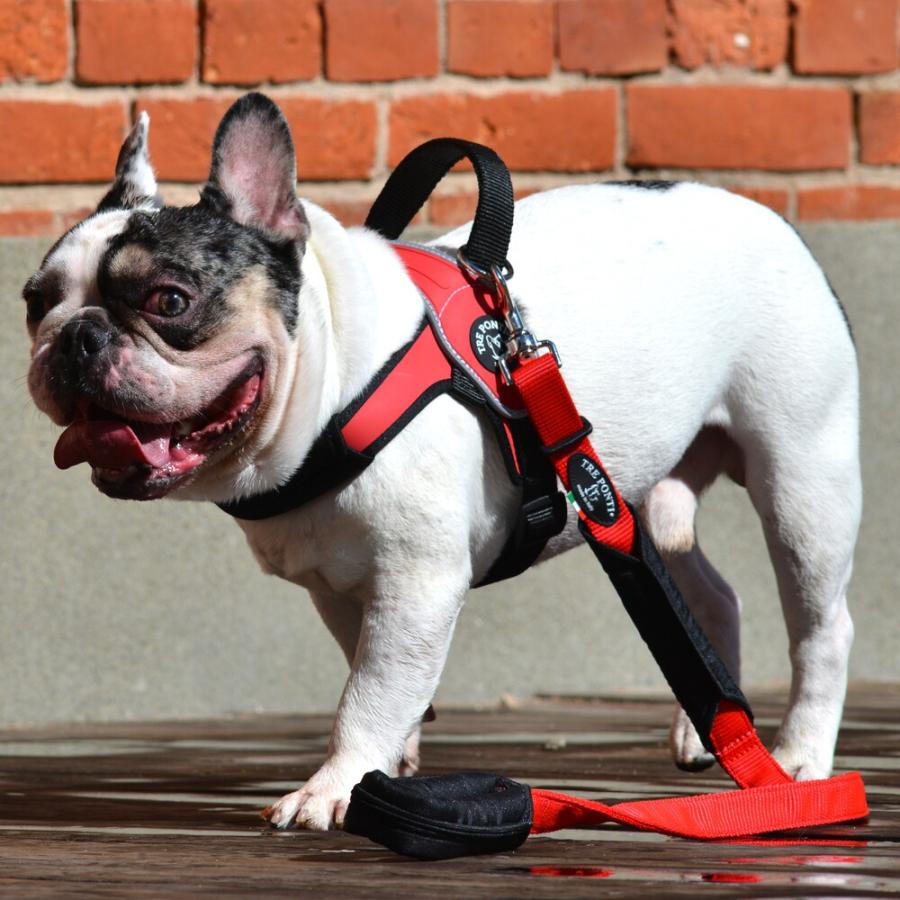 TRE PONTI トレポンティプリモ リフレクティブ 犬 いぬ イヌ DOG 首輪