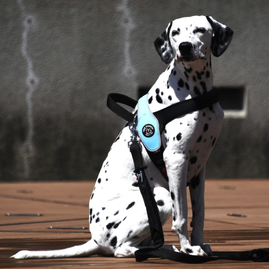 TRE PONTI トレポンティプリモ リフレクティブ 犬 いぬ イヌ DOG 首輪